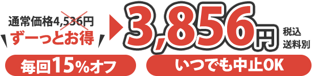 3,856円 税込 送料別